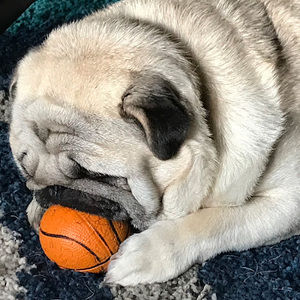 Meet your Posher, Jonathan